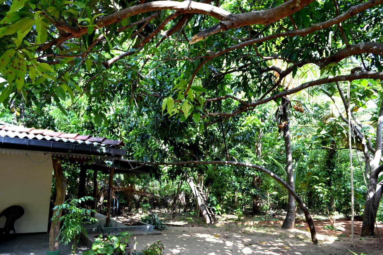 Sigiriya Freedom Lodge Dambulla Exterior foto