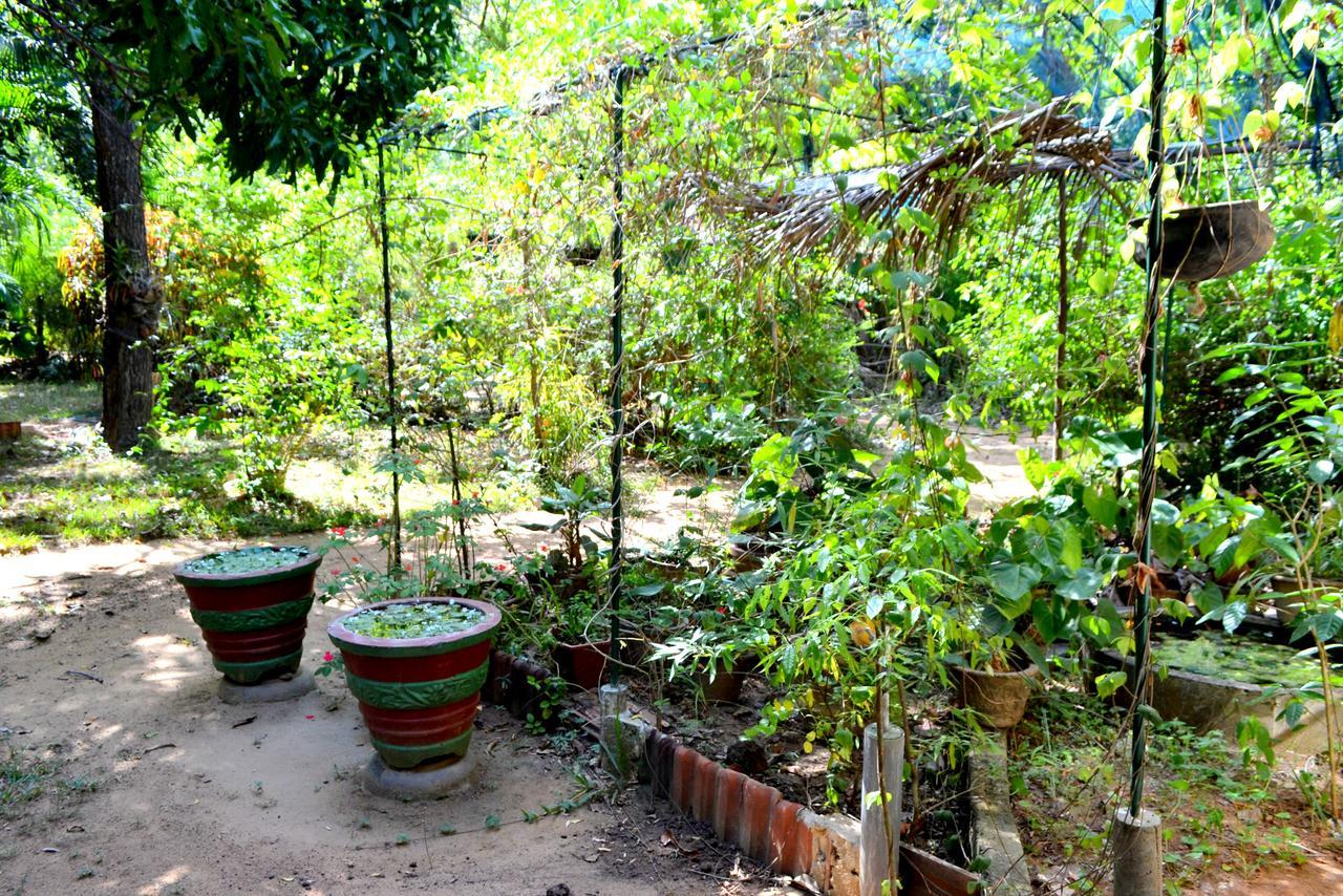 Sigiriya Freedom Lodge Dambulla Exterior foto