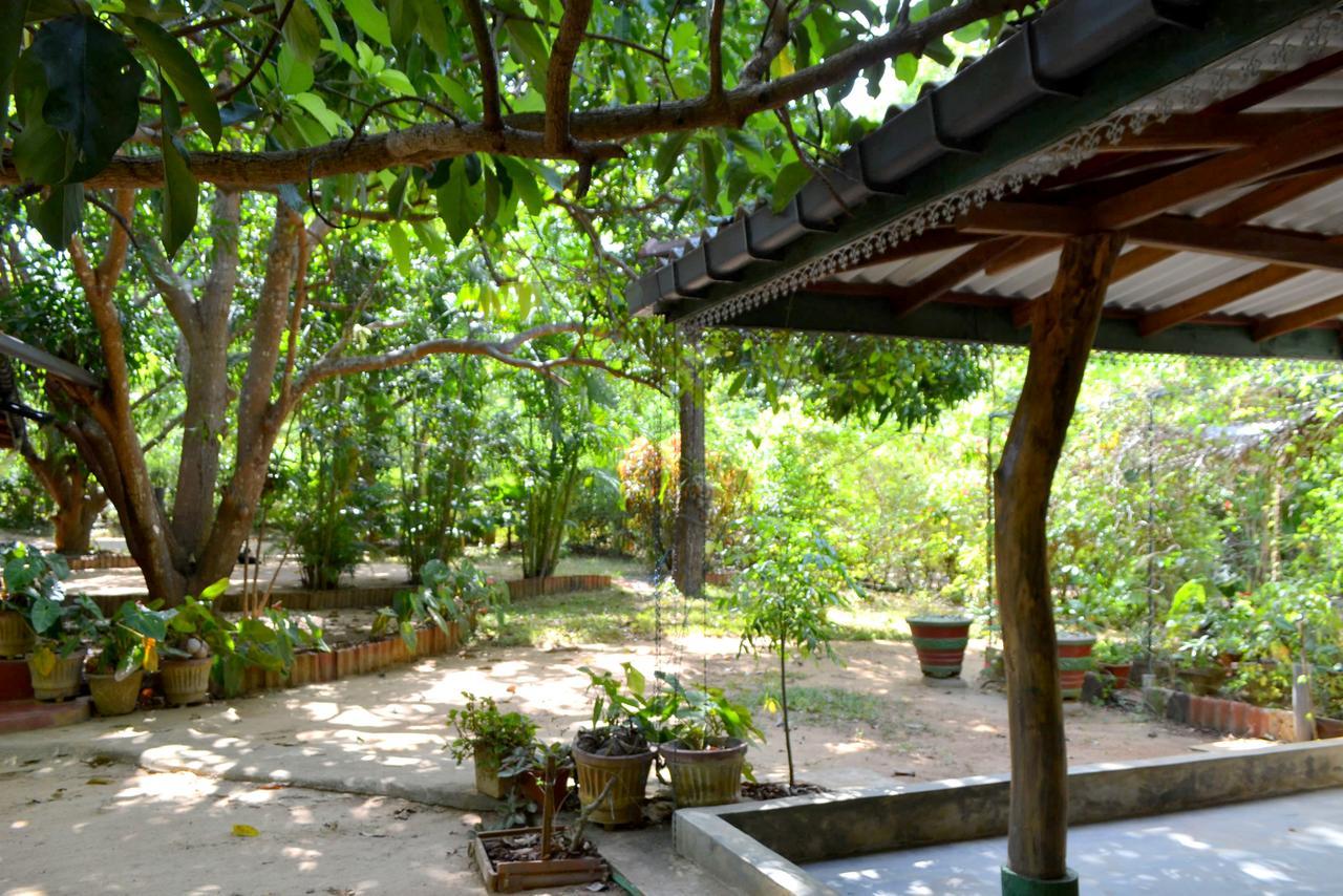 Sigiriya Freedom Lodge Dambulla Exterior foto