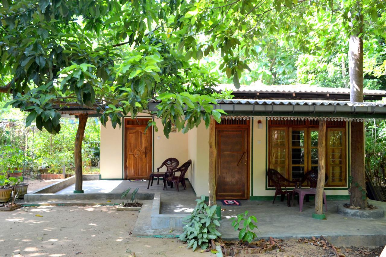 Sigiriya Freedom Lodge Dambulla Exterior foto